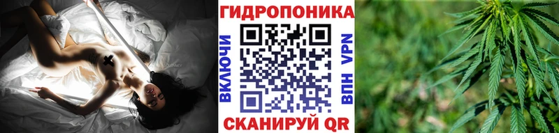как найти закладки  Лосино-Петровский  Марихуана Amnesia 
